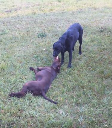 太阳成tyc7111cc官网-前三季度规上工业增加值增速达6.4%快于年初预期(图1) 太阳成tyc7111cc官网