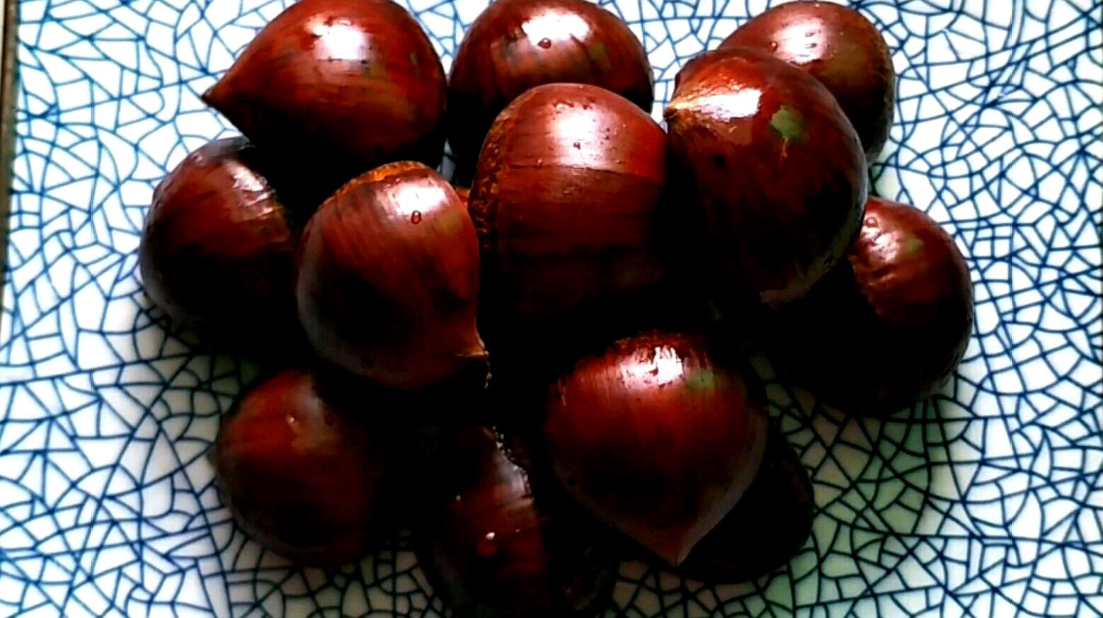 海南今年将在全省范围推广免费培养农村中专生-太阳成tyc7111cc(图2) 太阳成tyc7111cc