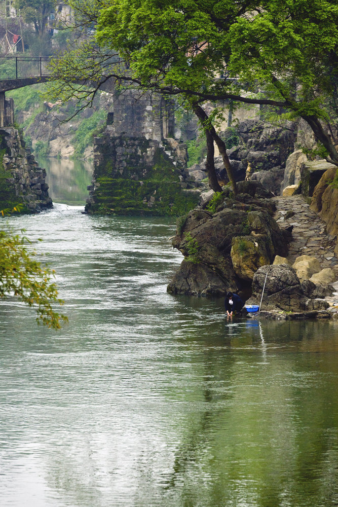 太阳成tyc7111cc|机构看好煤炭板块全年机会(图3) 太阳成tyc7111cc官网