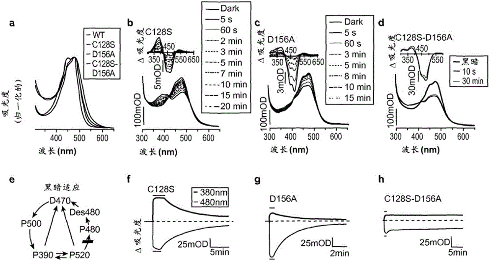 【太阳成tyc7111cc官网】设计“奥斯卡”揭晓国宝级的设计宗师和国宝级的IP都在这!(图1) 太阳成tyc7111cc