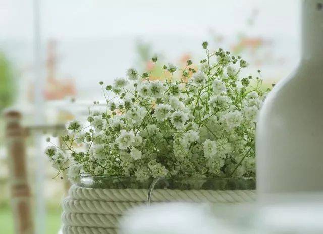 动力煤价的下个关口580元/吨!!-太阳成tyc7111cc官网(图2) 太阳成tyc7111cc官网