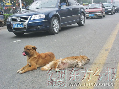 tyc7111cc太阳成集团