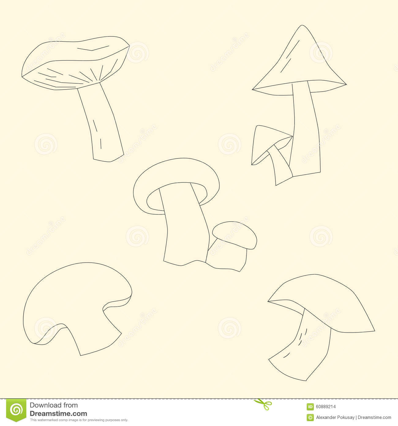 我省19名中等职业学校教师被评为教授级讲师_太阳成tyc7111cc(图2) 太阳成tyc7111cc官网