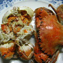 全国职业院校学生管理50强案例报告之六 福建船政交通职业学院:太阳成tyc7111cc官网(图1) 太阳成tyc7111cc官网