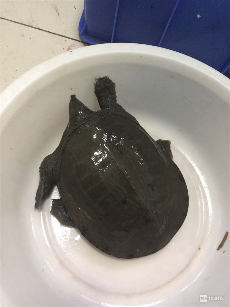 黑龙江鹤岗今冬明春煤炭保供形势严峻“太阳成tyc7111cc”(图1) tyc7111cc太阳成集团