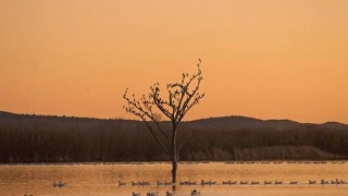 tyc7111cc太阳成集团