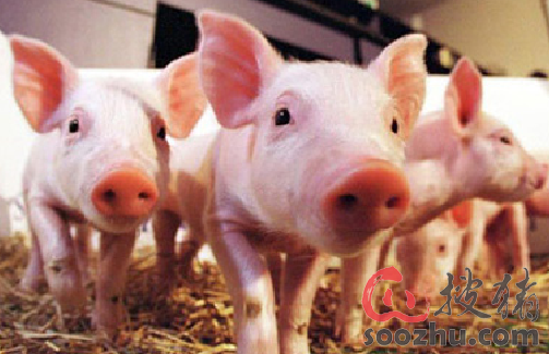 tyc7111cc太阳成集团