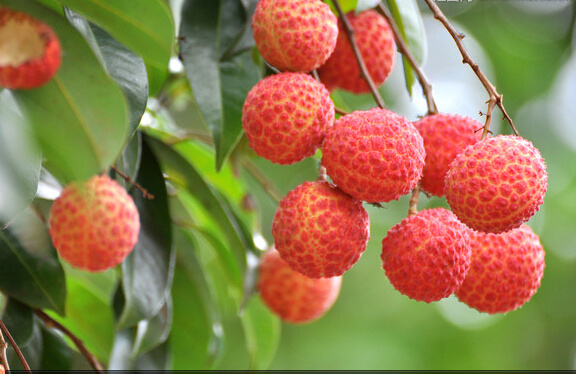 太阳成tyc7111cc官网