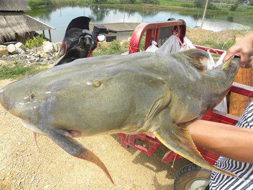 【tyc7111cc太阳成集团】启动升级引擎 哈尔滨职业教育书写“奋进之笔”(图2) tyc7111cc太阳成集团