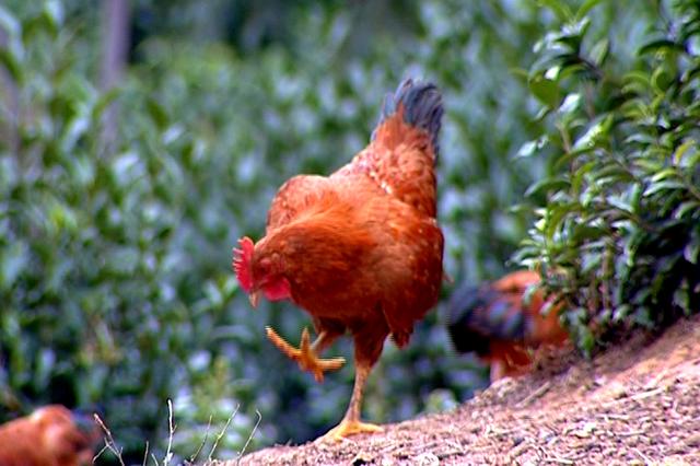 太阳成tyc7111cc官网