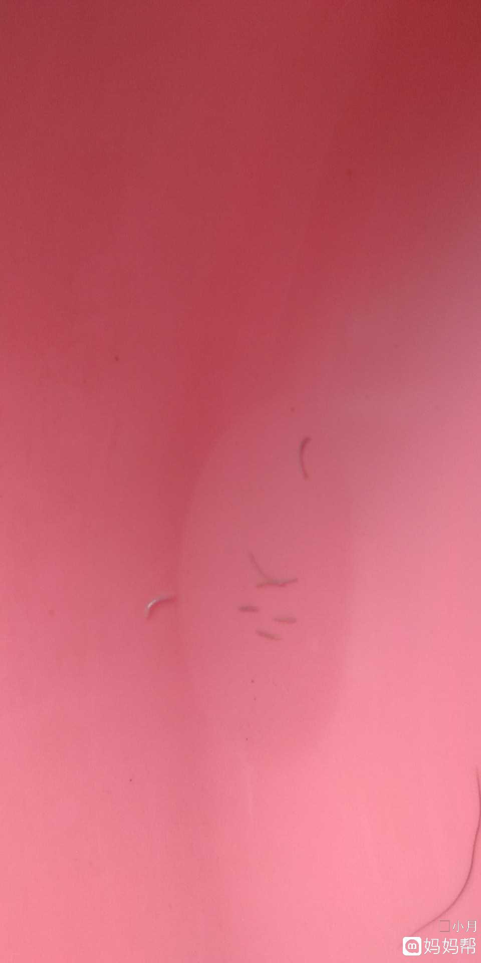 太阳成tyc7111cc官网