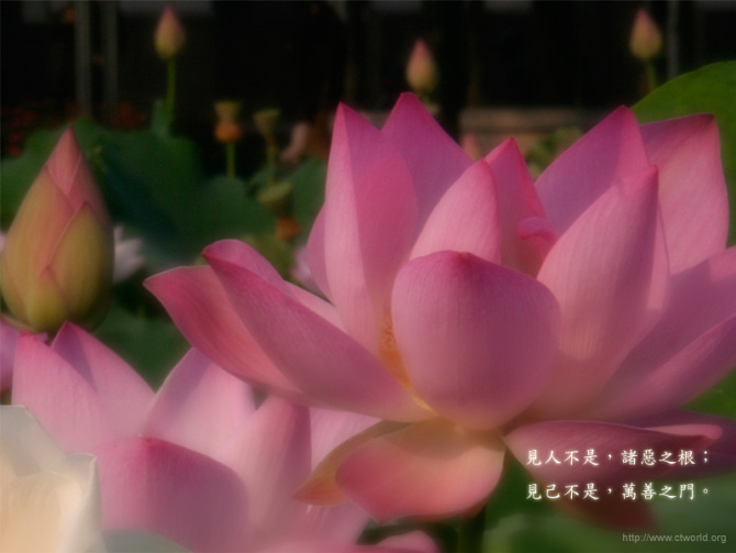 tyc7111cc太阳成集团|四季度稳投资冲刺大幕将启大批重大项目已提前启动(图2) 太阳成tyc7111cc官网